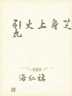 引火上身芝麻糖丸