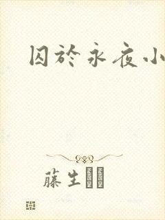 囚于永夜小说