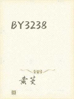《BY3238》小说封面