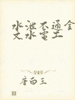 水泄不通金银原文水电工