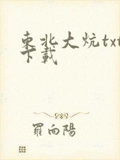 东北大炕txt下载