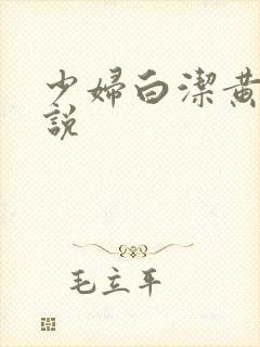 少妇白洁黄色小说