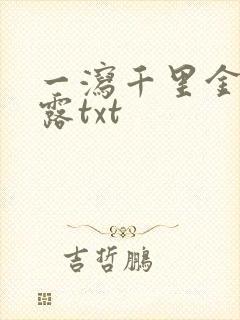 一泻千里金银花露txt