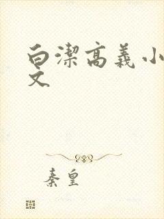 白洁高义小说全文