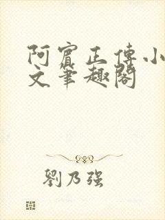 阿宾正传小说全文笔趣阁