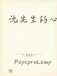 沈先生的心头宝