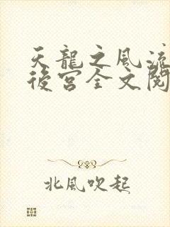 天龙之风流猎艳后宫全文阅读