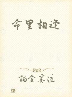 命里相逢