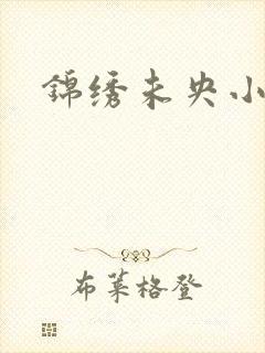 锦绣未央小说