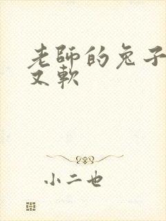 老师的兔子又大又软