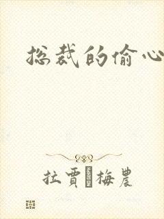 总裁的偷心娇妻