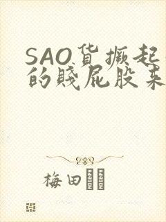 SAO货撅起你的贱屁股来