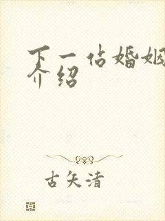 下一站婚姻剧情介绍