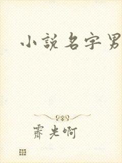 小说名字男生