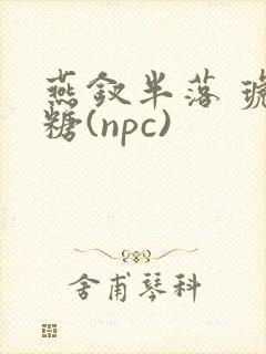 燕钗半落 琥珀糖(npc)