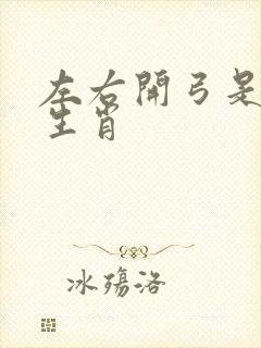 左右开弓是什么生肖