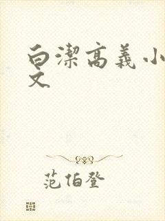 白洁高义小说全文