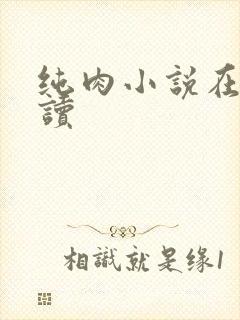 纯肉小说在线阅读