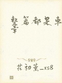 整篇都是车的文章