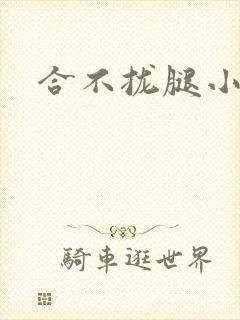 合不拢腿小说
