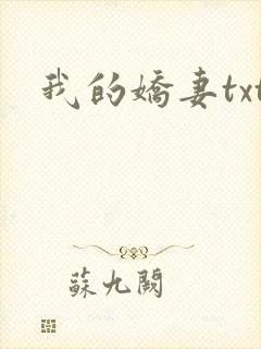 我的娇妻txt