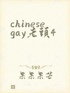 chinesegay老头4