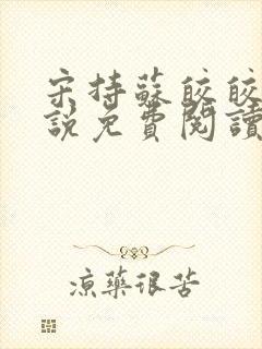 宋持苏皎皎的小说免费阅读