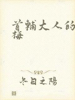 首辅大人的小青梅