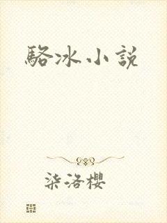 骆冰小说