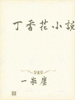 丁香花小说