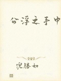 公浮之手中字5封面