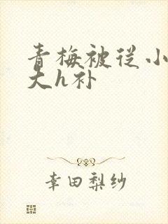 青梅被从小摸到大h补封面