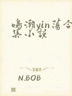 鸣潮yin荡合集小说