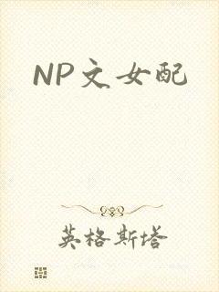 NP文女配