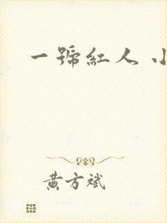 一号红人 小说