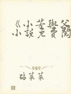 《小芳与父亲》小说免费阅读