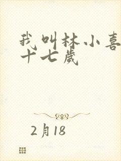 我叫林小喜今年十七岁