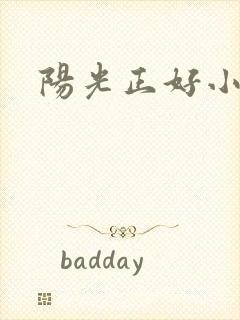 阳光正好小说