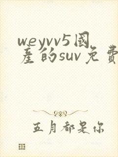 weyvv5国产的suv免费