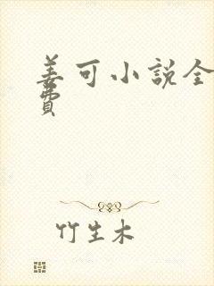 姜可小说全文免费