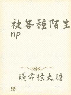 被各种陌生人 np