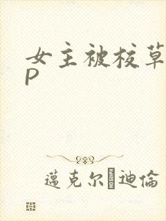 女主被校草们NP
