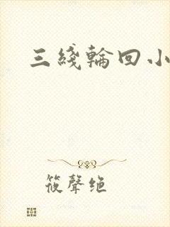 三线轮回小说封面