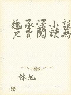 魏承泽小说全文免费阅读无弹窗笔趣