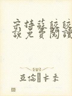 宋持苏皎皎的小说免费阅读