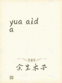 《yua aida》小说封面