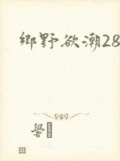乡野欲潮28章