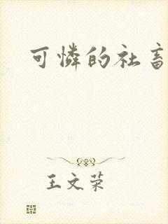 可怜的社畜分手