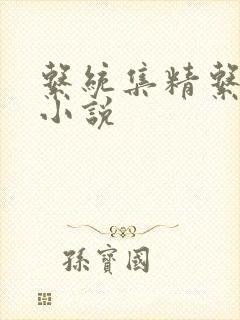 系统集精系统 小说