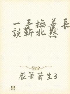 一手抚养长大小说靳北然